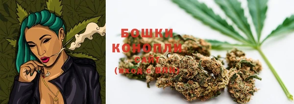 крисы Зеленодольск