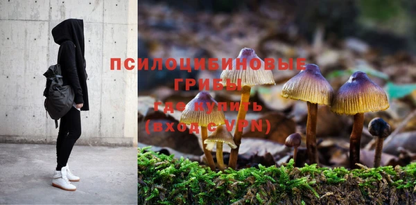 ECSTASY Баксан